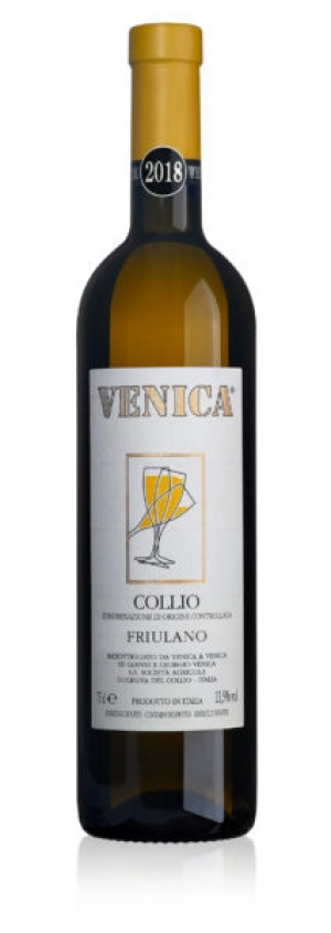 Friulano Collio DOC - Venica & Venica