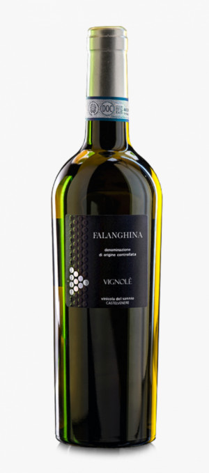 Falanghina del Sannio DOP Vignolè - Vinicola Del Sannio