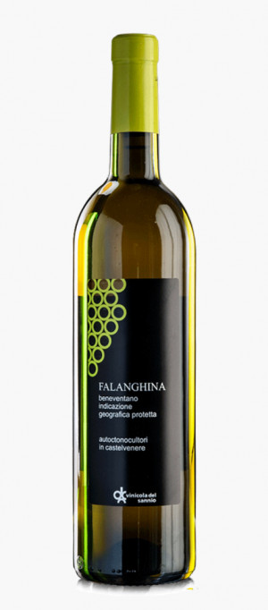 Falanghina del Beneventano IGP - Vinicola Del Sannio